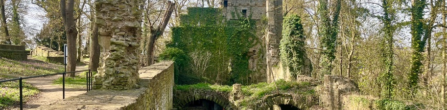 Altes Gebäude im Wald