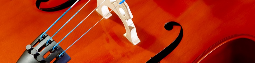 Cello, Nahansicht