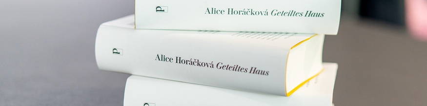 Bücherstapel: "Geteiltes Haus"