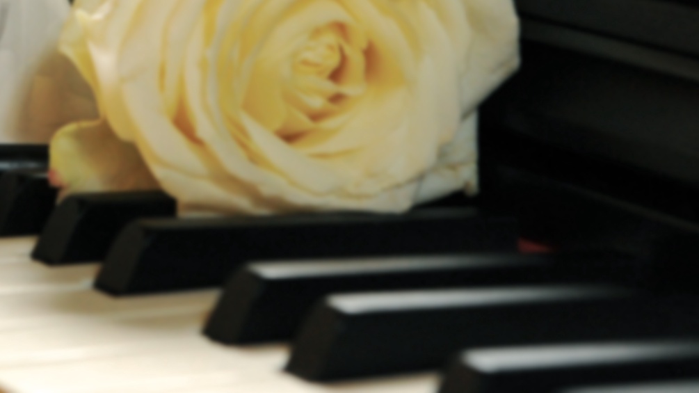 Ein Bild einer Rose auf Klaviertasten.