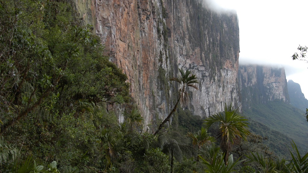 Berge und Vegetation in Venezuela.