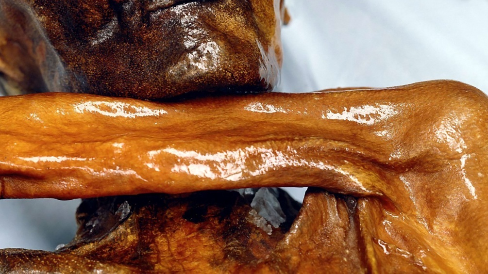 Ausschnitt der Gletschermumie Ötzi