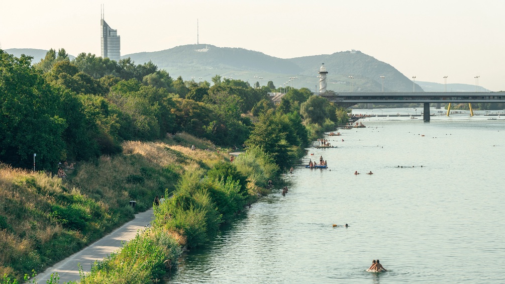 Donauinselansicht