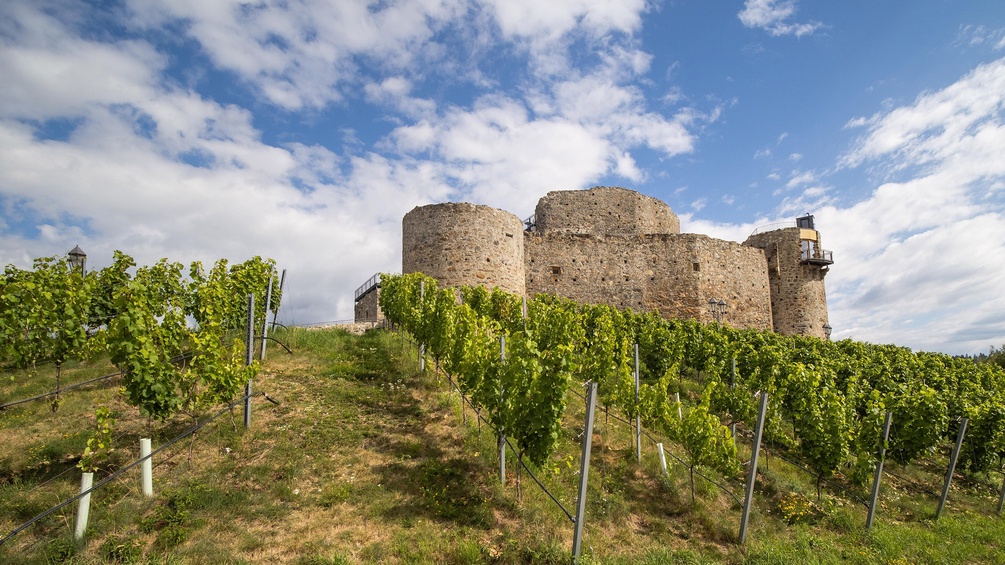 Burg Taggenbrunn, bei St. Veit, Kärnten