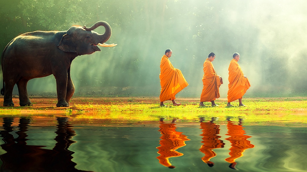 Thailändische Mönche und ein Elefant
