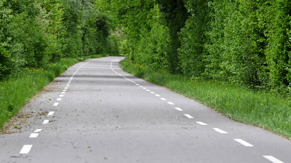 Kleine Landstraße mit Büschen