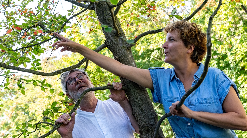 Elke Tschaikner und Christian Scheib