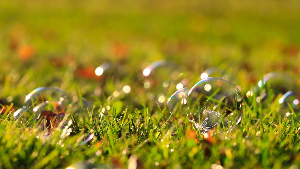Seifenblasen im Gras