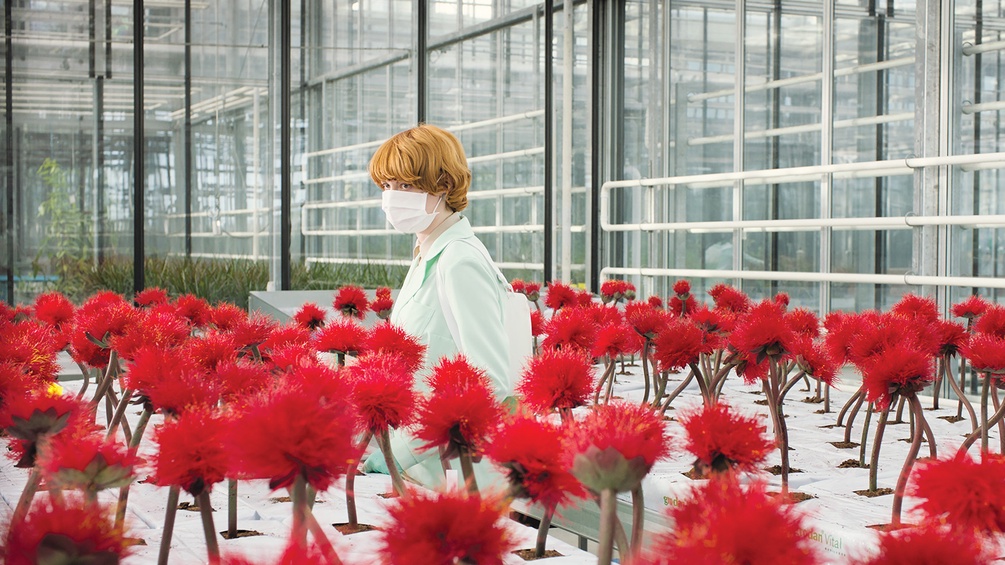 coop99 filmproduktion, The Bureau, Essential Films Mann in einem Glashaus