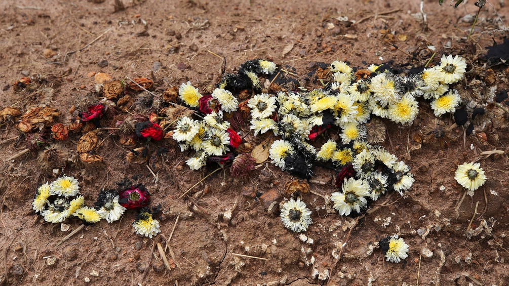 Verwelkte Blumen