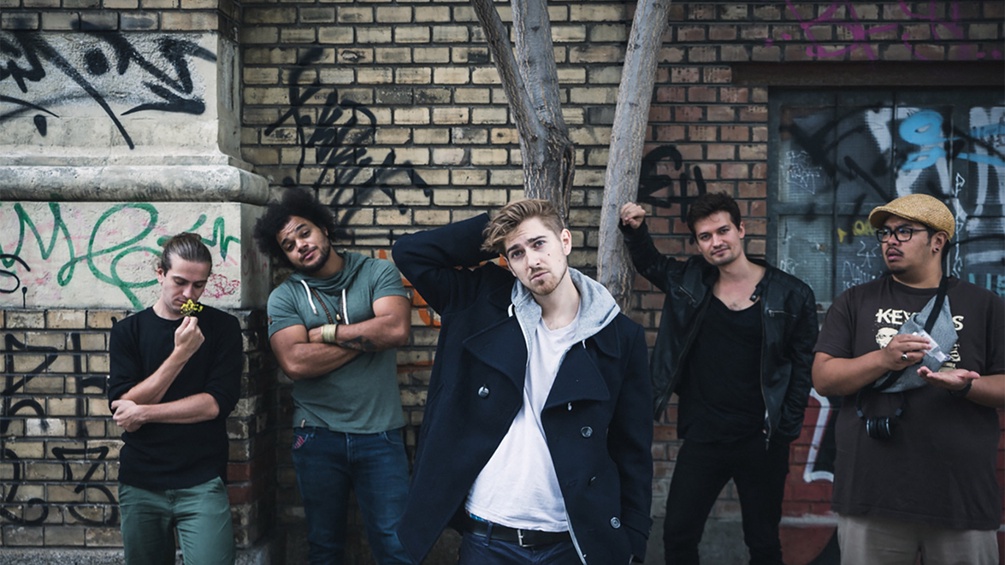 Pale Male mit Band
