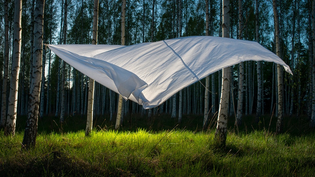 PICTUREDESK.COM/WESTEND61/MISCHA KEIJSER Tuch im Wind, Birkenwald