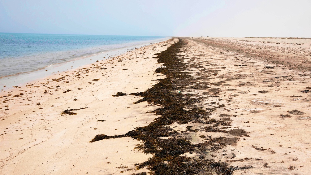 Strand in Dschibuti