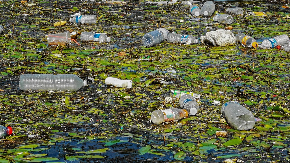 Schwimmender Plastikmüll