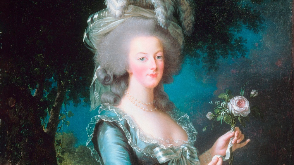 PICTUREDESK.COM/AKG-IMAGES Gemälde von Marie Antoinette, 1783 (Ausschnitt)