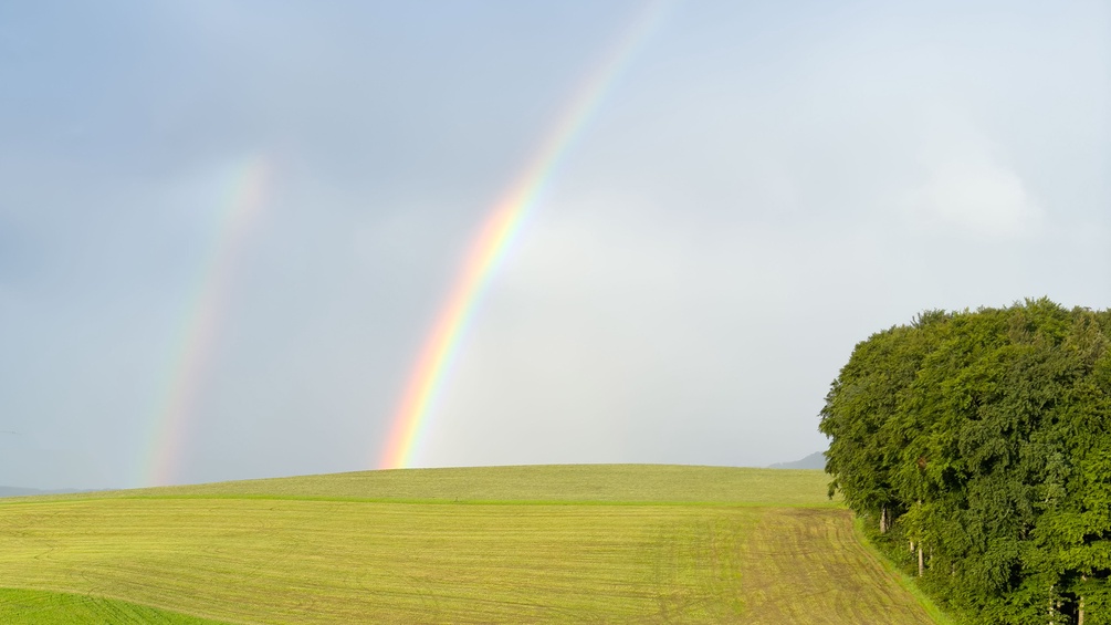 Regenbogen