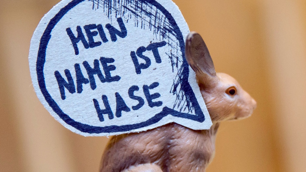 Redewendung, "Mein Name ist Hase"