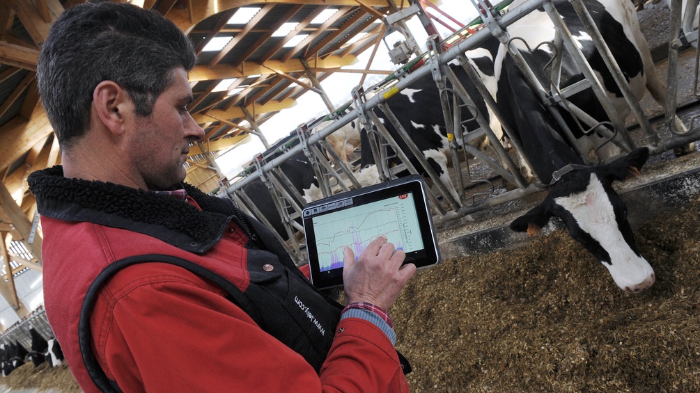 Ein Kuhfarner kontrolliert seine Daten am iPad.