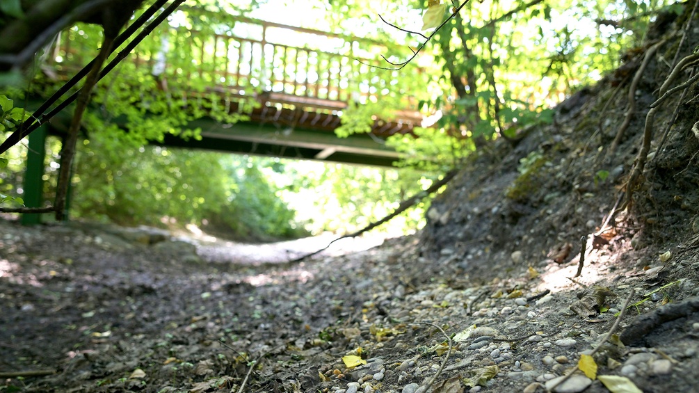 Ausgetrocknete untere Lobau