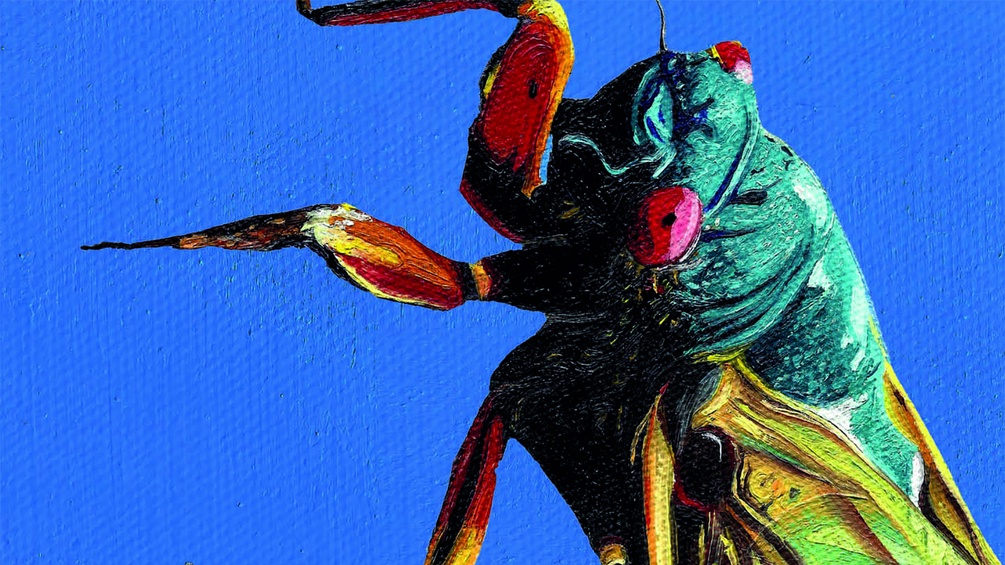 Isabella Breier: "Kosmo" - Ausschnitt des Buchumschlags