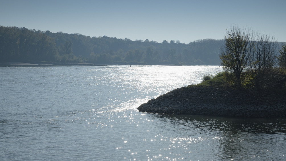 PICTUREDESK.COM/KURIER/JEFF MANGIONE Orth an der Donau, Donauströmung