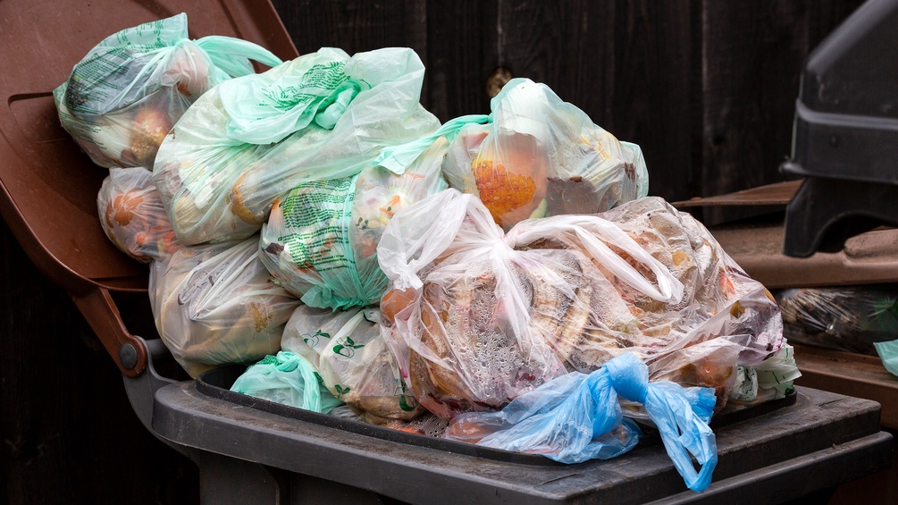 Überfüllte Biomülltonne, Müll, Abfall, Lebensmittel