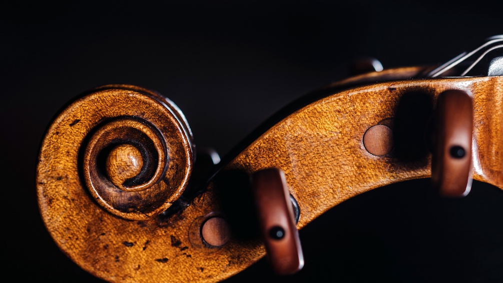 Schnecke einer Violine