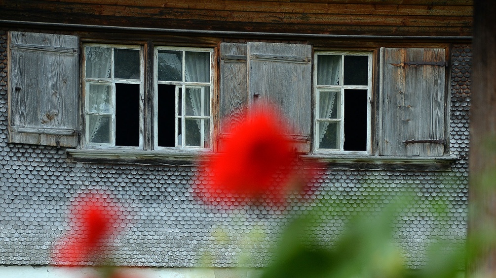 Balkonpflanzen vor einer alten Holzhäuserfront mit Fensterläden