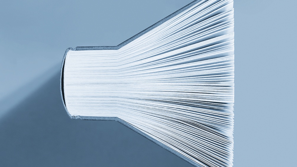 DYNAMO WIEN/FLORIAN JUNGWIRTH Ausschnitt des Covers