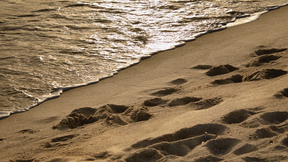 Meereswellen und Strand