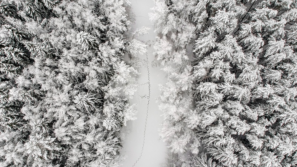 Verschneiter Waldweg aus der Vogelperspektive