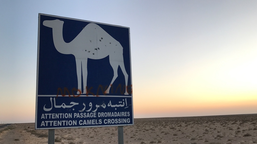 Ein Vekehrsschild warnt vor Kamelen