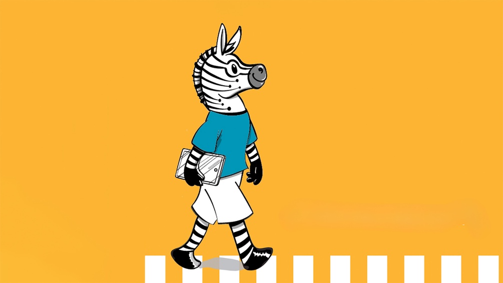 Digital Zebra, Illustration