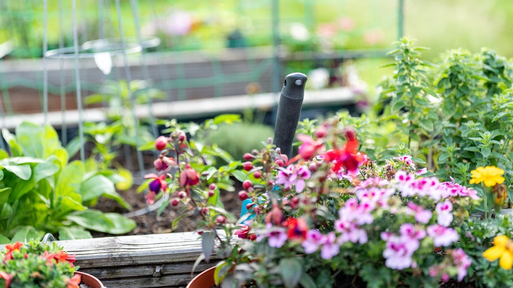 Gartenarbeit, Gemüseanbau, Balkonblumen