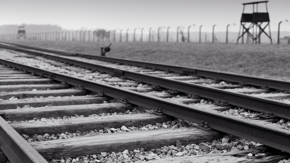 Schienen nach Ausschwitz.