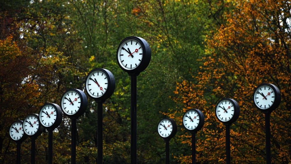 Uhren in einem Wald. Eine Installation von Klaus Rinke.