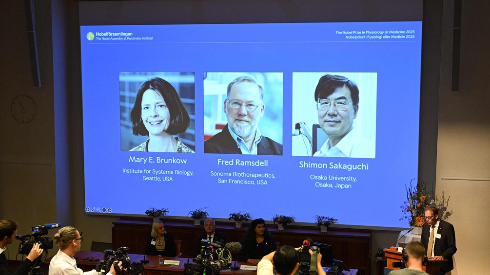 Medizinnobelpreis 2025: Mary E. Brunkow, Fred Ramsdell und Shimon Sakaguchi