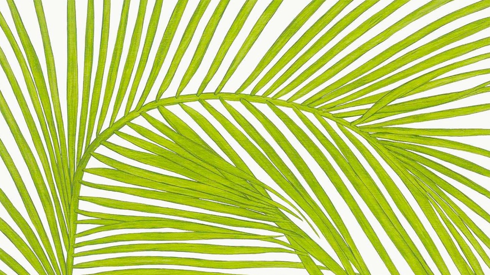 ROWOHLT VERLAG Ausschnitt des Buchumschlags, "Umwege. Essays für schwieriges Terrain" von Rebecca Solnit