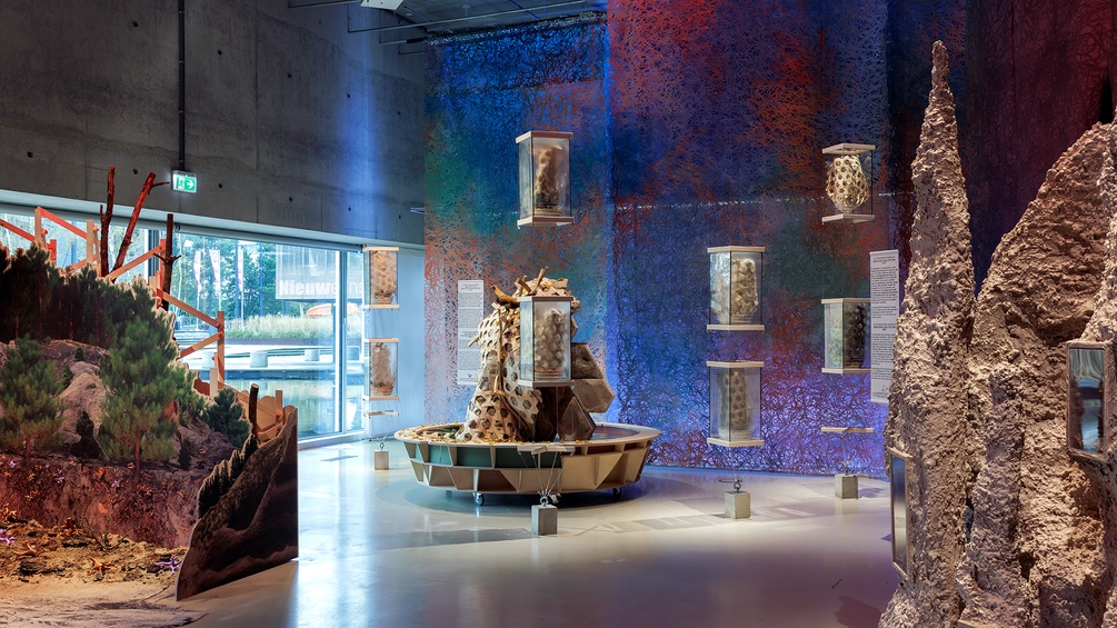 FUNGI: Anarchist Designers / Feifei Zhou (CN), Anna Tsing (US) - Ausstellungsansicht