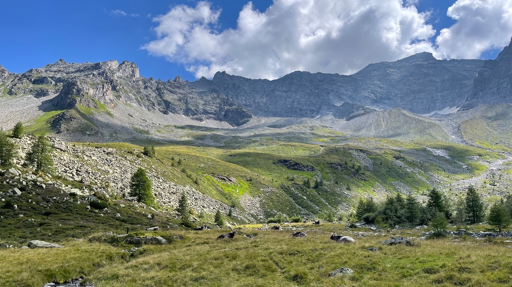 Alpiner Raum, Alpen