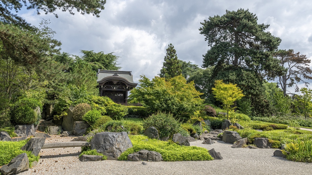 Kew Gardens: Japanischer Garten