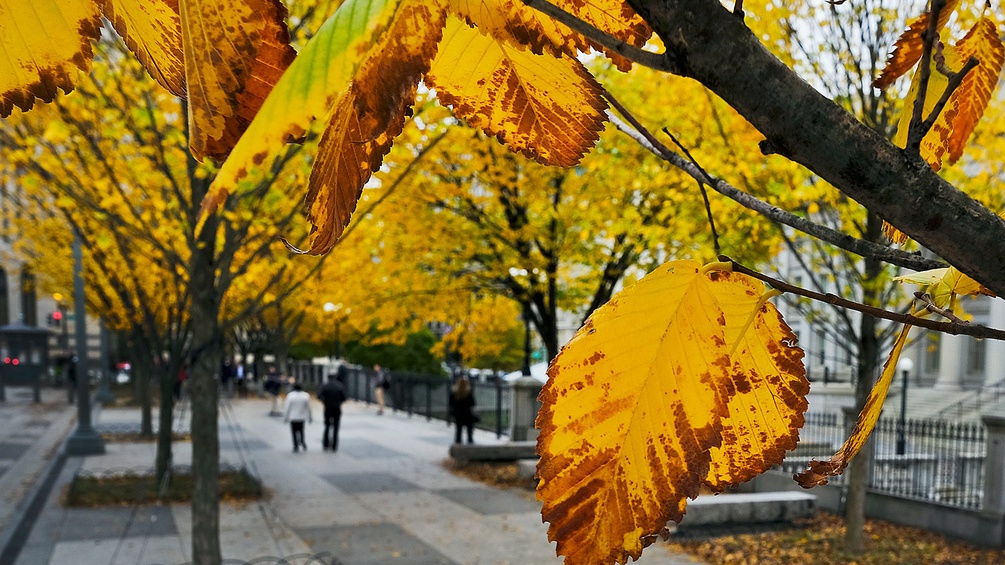 Herbststimmung in Washington, DC