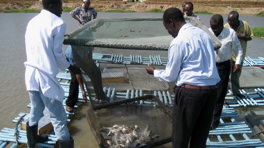 Menschen in Uganda mit Fischernetz