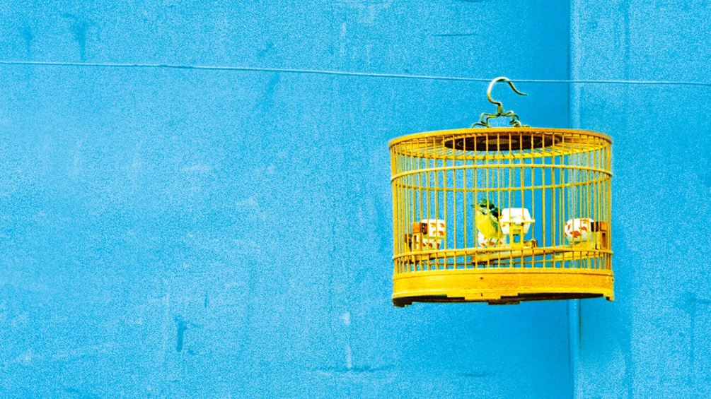 Blaue Wand und ein gelber Vogelkäfig.