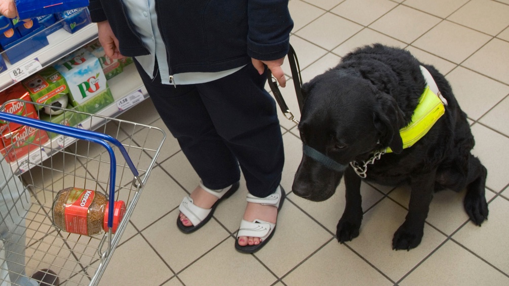 Frau mit Sehbehinderung und Blindenhund im Supermarkt
