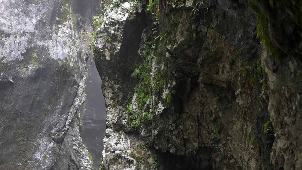 Schlucht, Gestein, Alpen