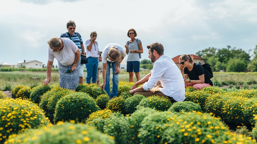 Menschen im Feld