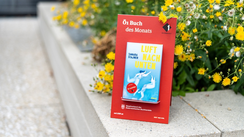 Ö1 Buch des Monats: "Luft nach unten"