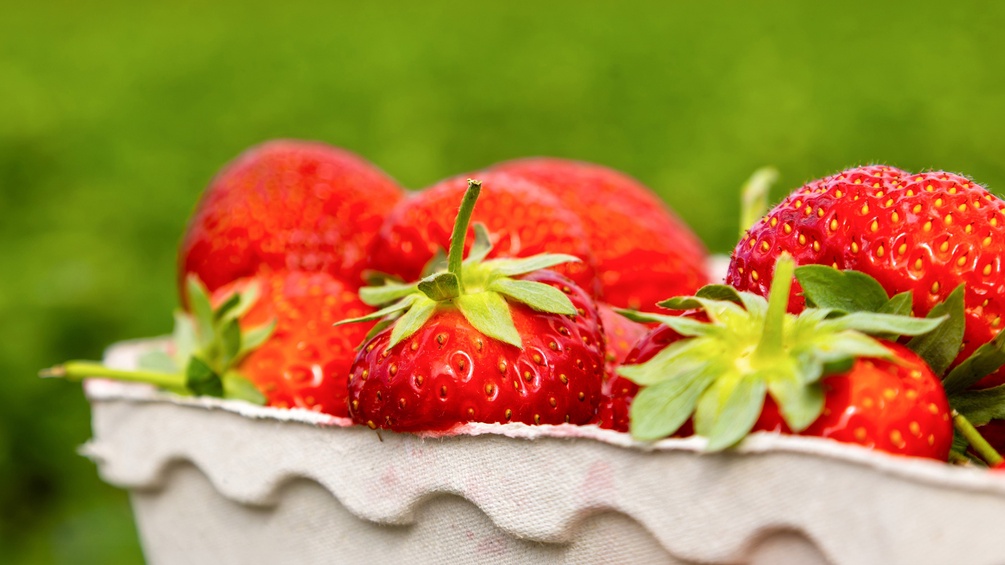 Erdbeeren