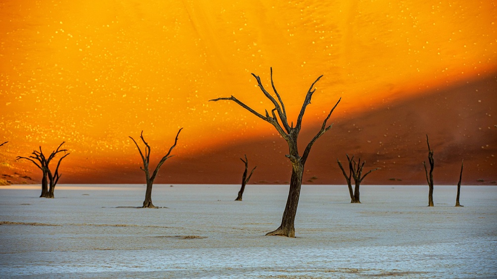 Dead Vlei in Namibia
